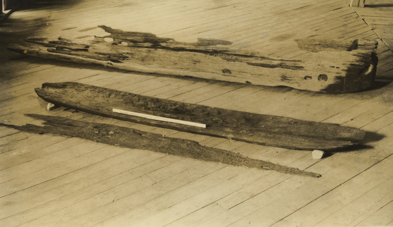 Scaled image s00595.jpg 