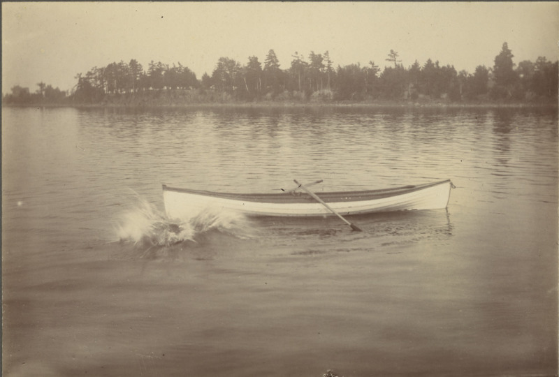 Scaled image s00545.jpg 