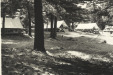 Thumbnail s01107.jpg 