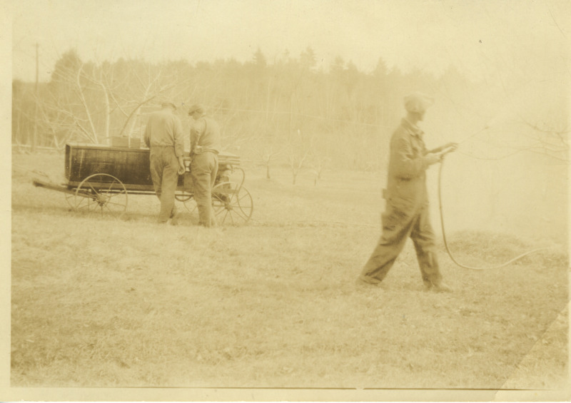 Scaled image s01217.jpg 