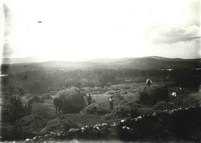 Scaled image s01239.jpg 