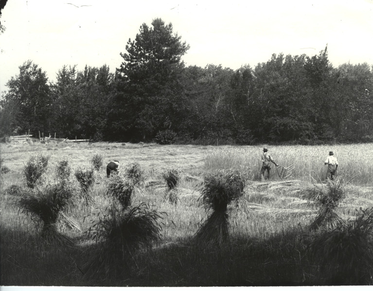 Scaled image s01240.jpg 