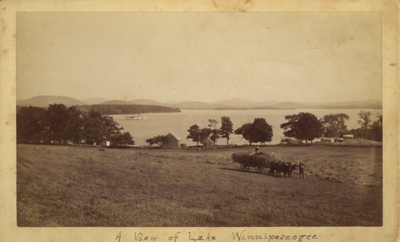 Scaled image s01258.jpg 