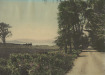 Thumbnail s01269.jpg 