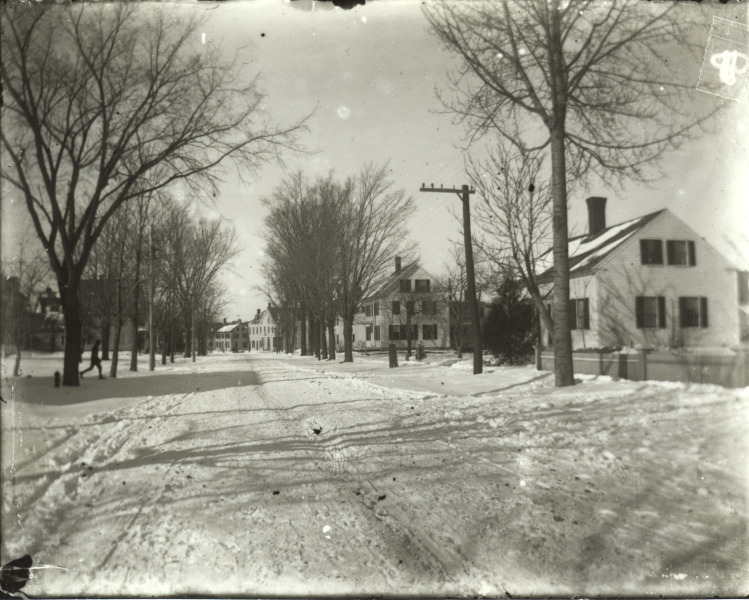 Scaled image s01466.jpg 