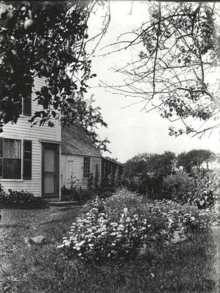 Scaled image s01614.jpg 