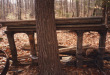 Thumbnail s01578.jpg 