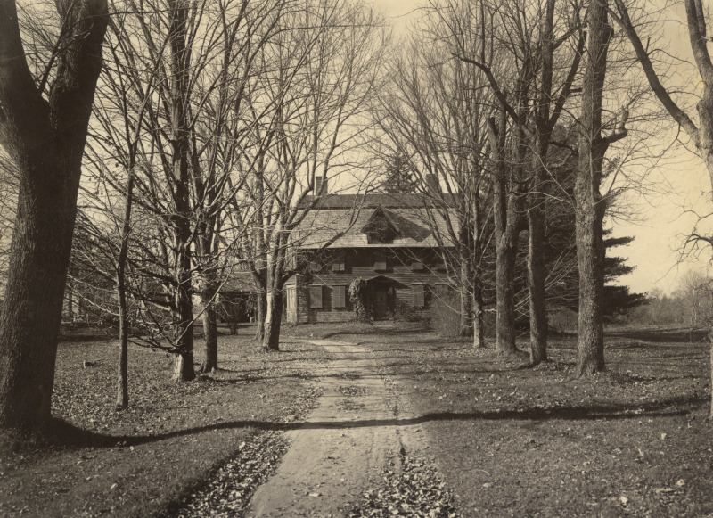 Scaled image s01555.jpg 