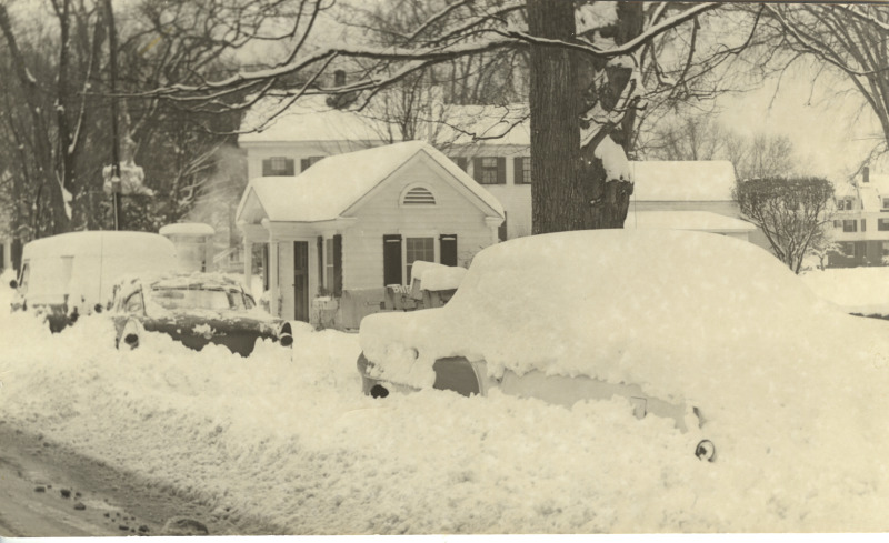 Scaled image s01648.jpg 