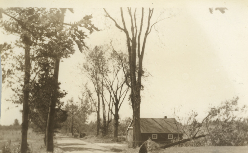 Scaled image s01134.jpg 