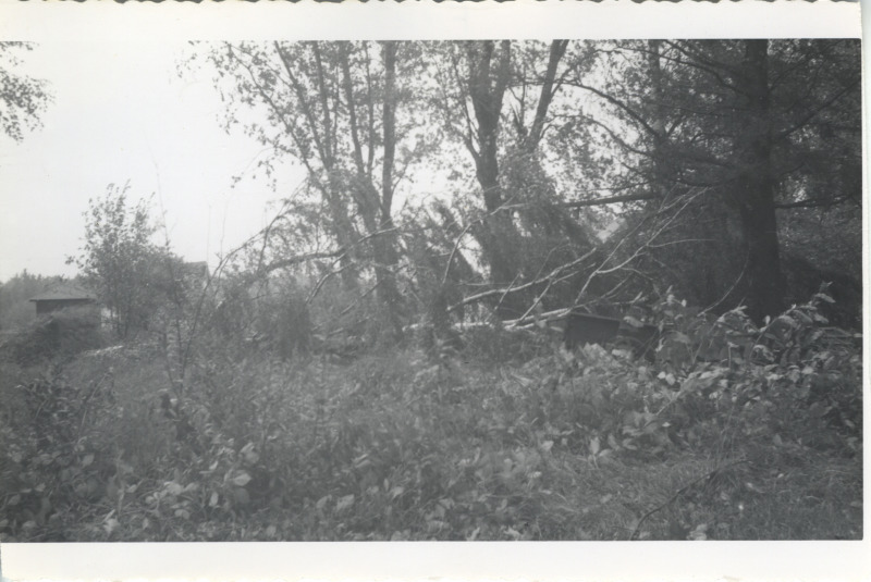 Scaled image s01144.jpg 