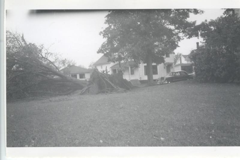 Scaled image s01146.jpg 