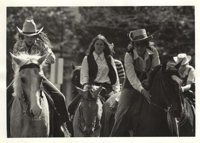 Scaled image s00956.jpg 