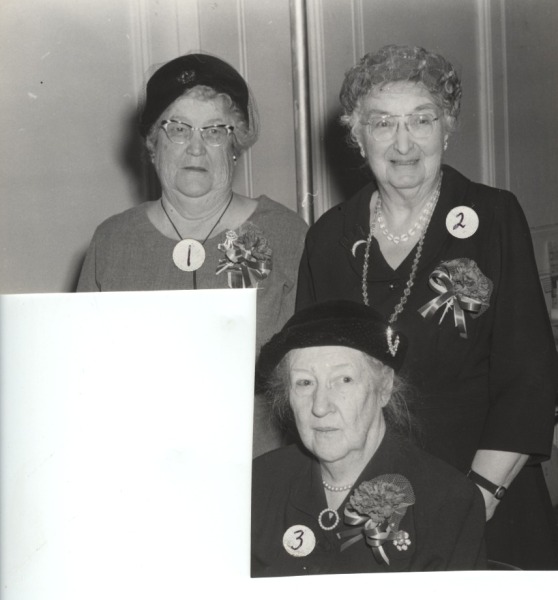 Scaled image s00073.jpg 