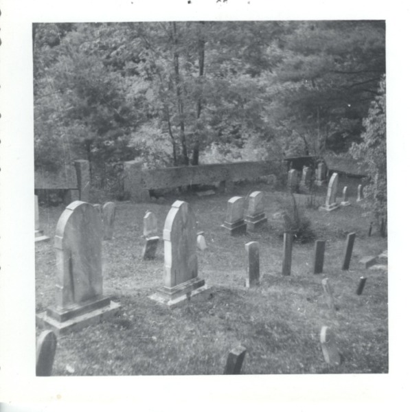 Scaled image s00098.jpg 