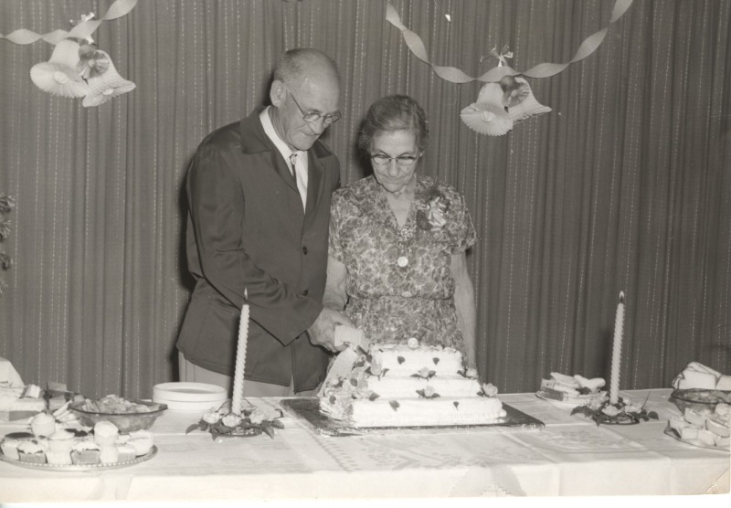 Scaled image s00118.jpg 