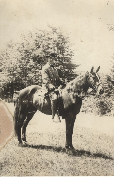 Scaled image s00184.jpg 