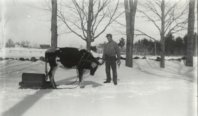 Scaled image s00253.jpg 