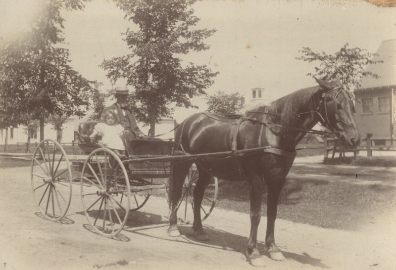 Scaled image s00285.jpg 