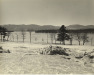 Thumbnail s00895.jpg 