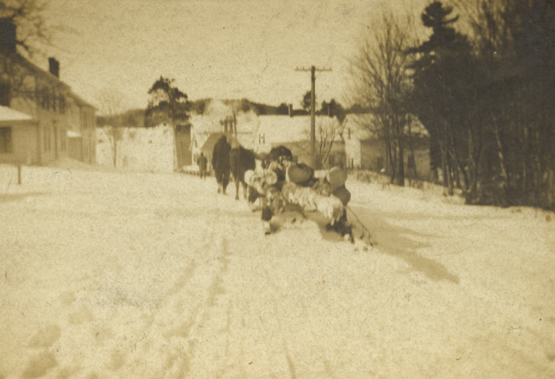 Scaled image s00623.jpg 