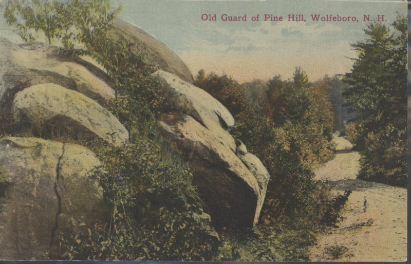 Scaled image s00479.jpg 