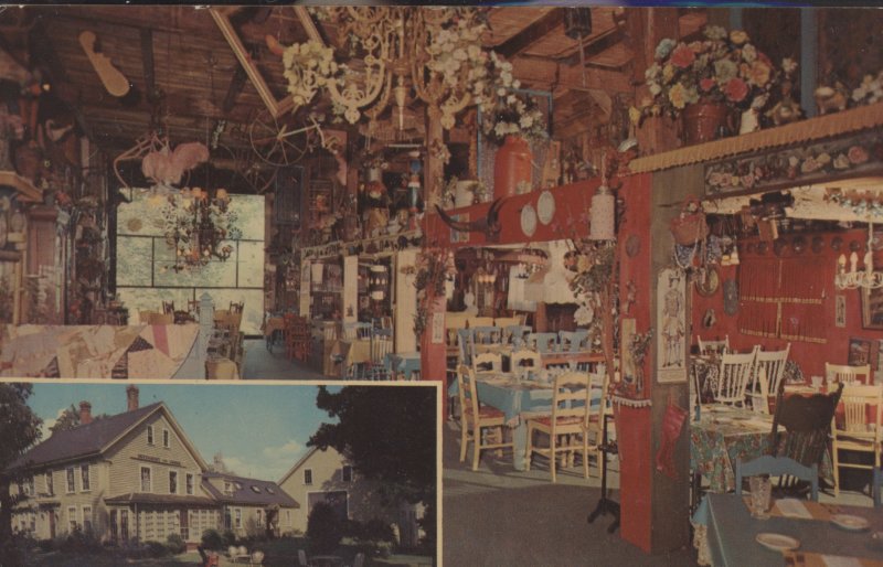 Scaled image s00489.jpg 