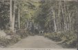 Thumbnail s00471.jpg 