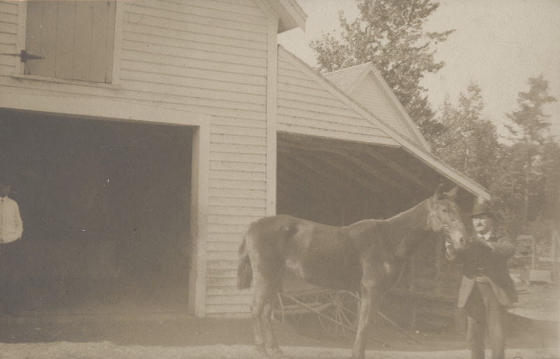 Scaled image s00450.jpg 