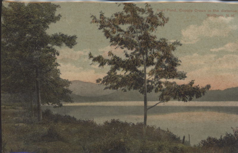 Scaled image s00461.jpg 