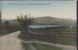 Thumbnail s00457.jpg 