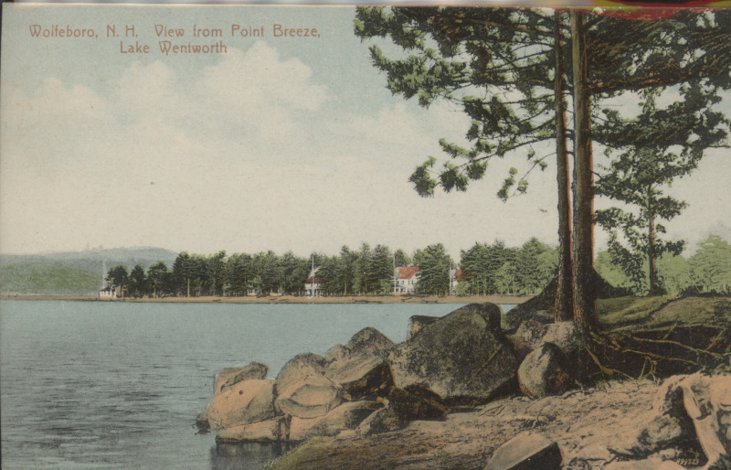 Scaled image s00397.jpg 