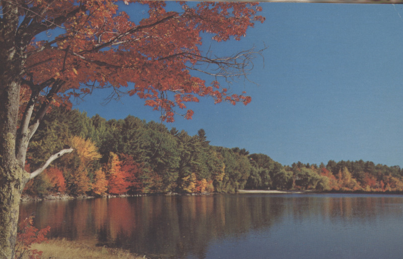 Scaled image s00415.jpg 