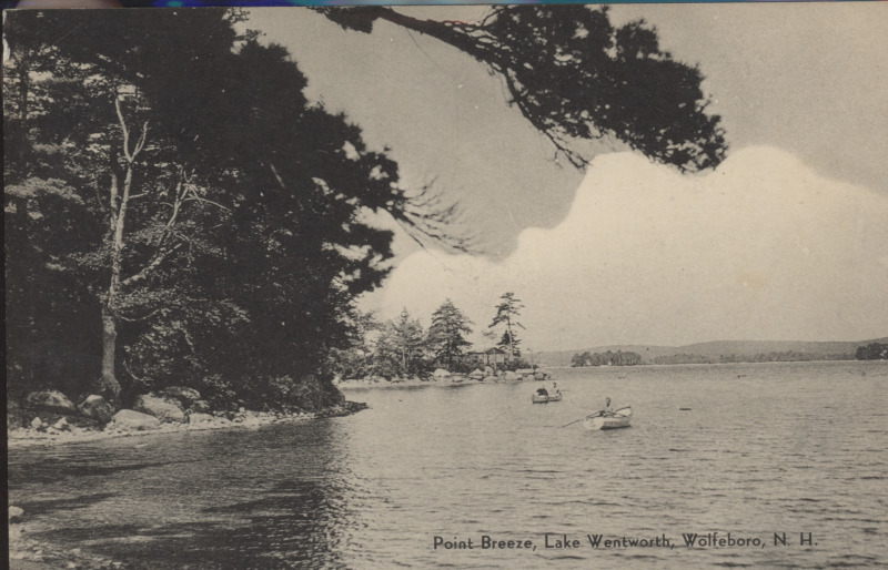 Scaled image s00184.jpg 