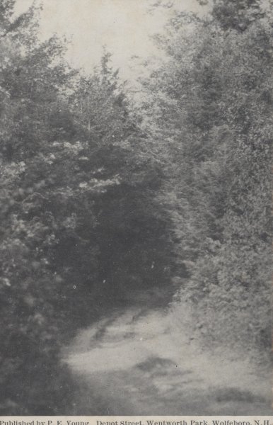 Scaled image s00251.jpg 