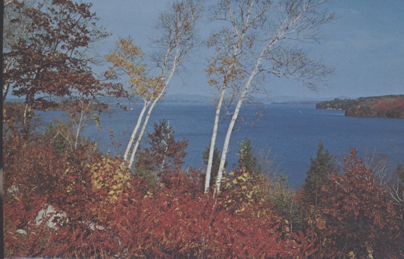 Scaled image s00257.jpg 