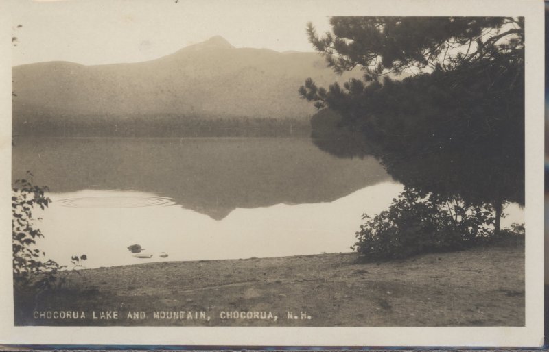 Scaled image s00603.jpg 