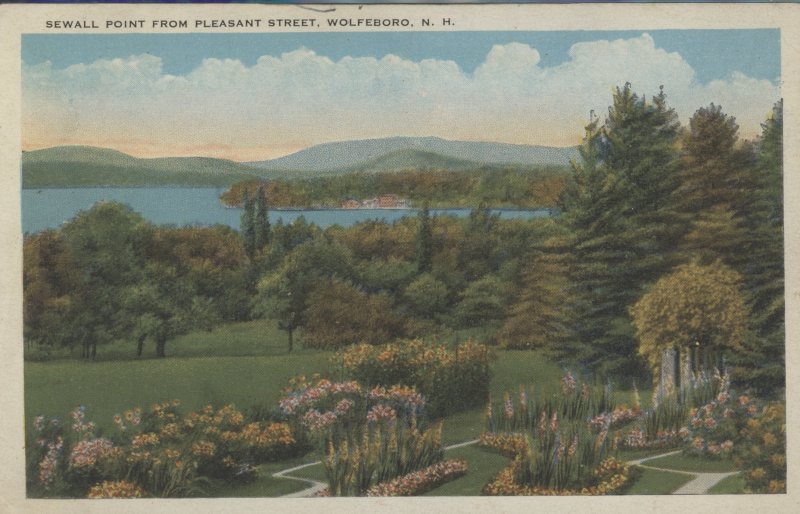 Scaled image s00531.jpg 