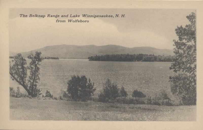 Scaled image s00497.jpg 