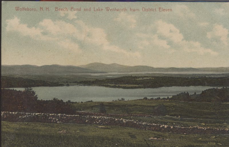 Scaled image s00511.jpg 