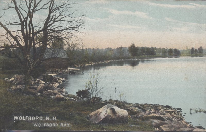 Scaled image s00521.jpg 