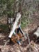 Thumbnail iron_works_mill_wheels.jpg 