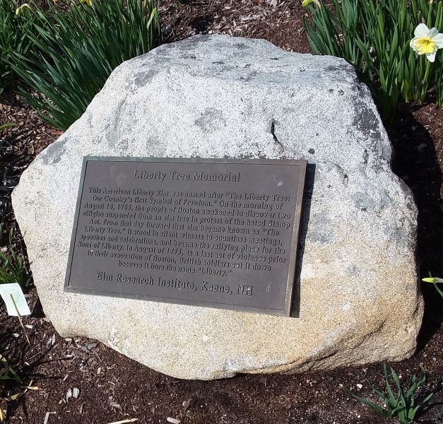 Scaled image 35__Liberty_Tea_Mem..jpg 